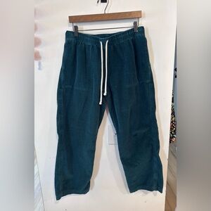 Aerie Corduroy Low Rise Pants Women’s Size Medium Teal Green Cotton Retro